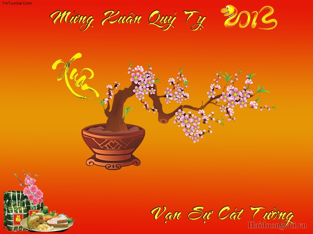 Hình nền máy tính chúc mừng năm mới 2013